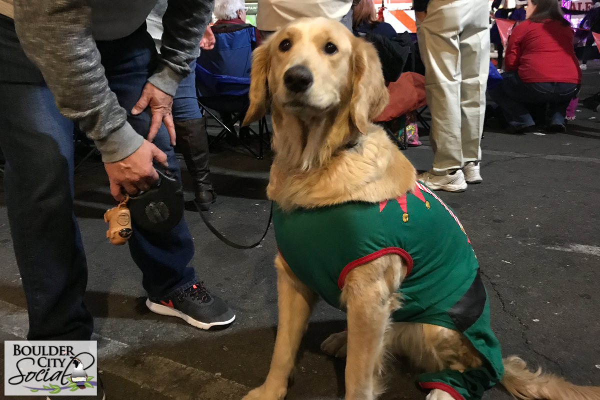 ChristmasGolden.jpg