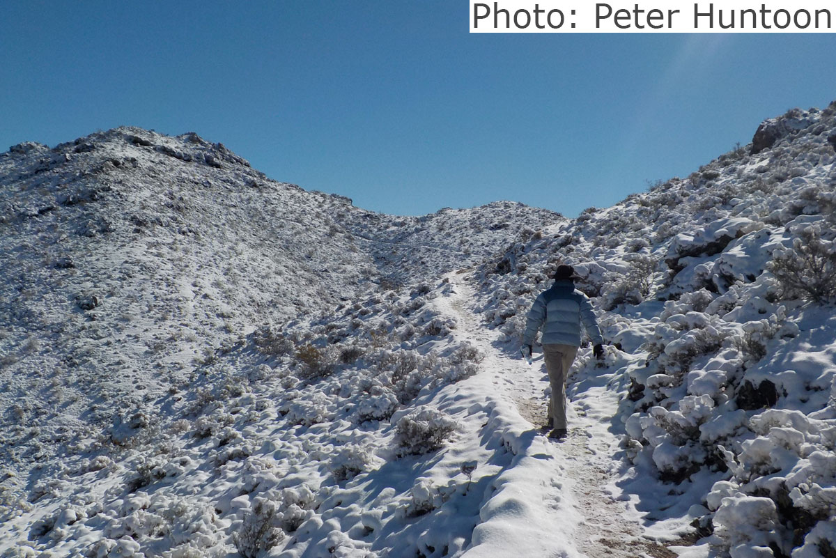 Fan Photo 1 Year Snow Peter Huntoon Boulder City, NV