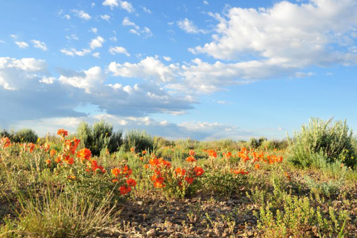 March Events Lake Mead Boulder City, Nevada