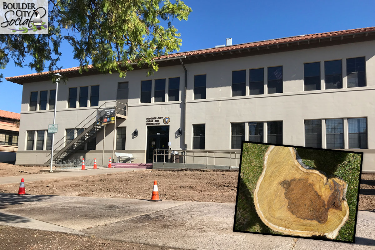 Parks & Rec Building Project Boulder City, NV