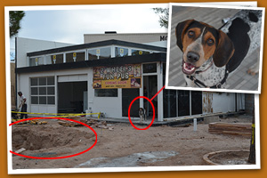 2 Wheels Pub Construction Begins!