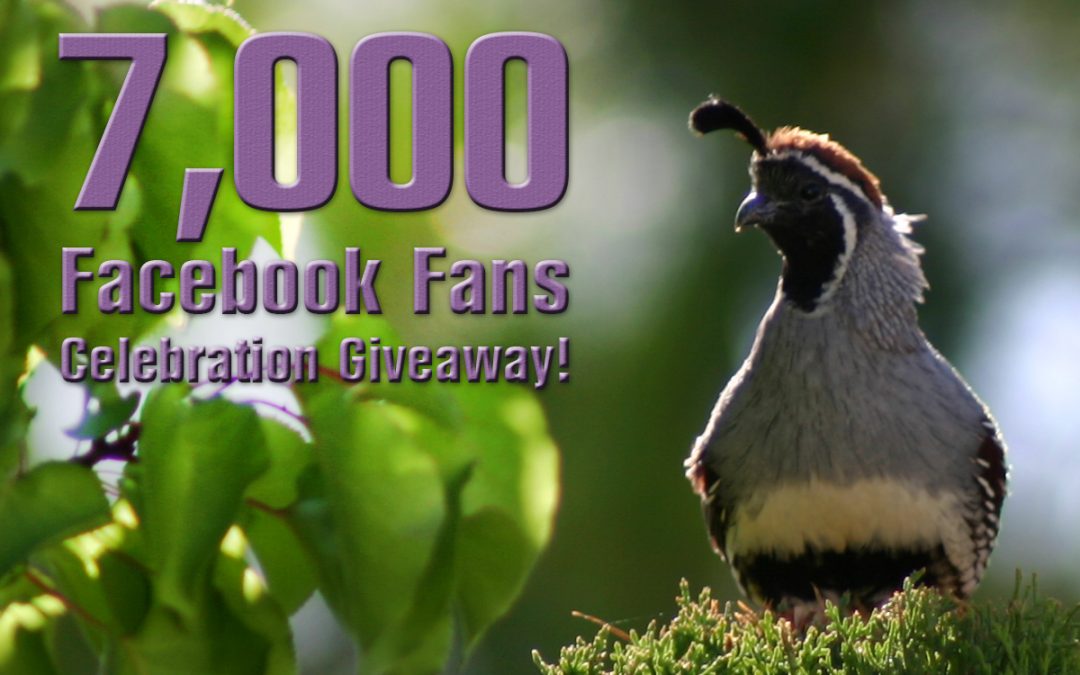 7,000 Facebook Fans Celebration Giveaway!