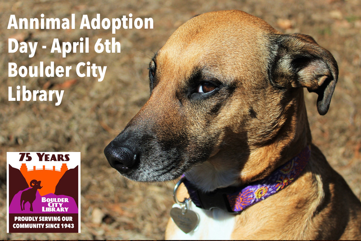April Events at the Boulder City Library