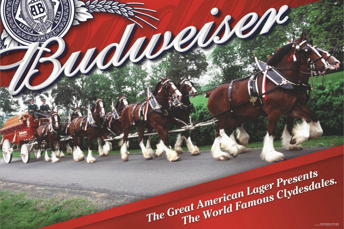 Clydesdales Coming To Boulder City, Nevada