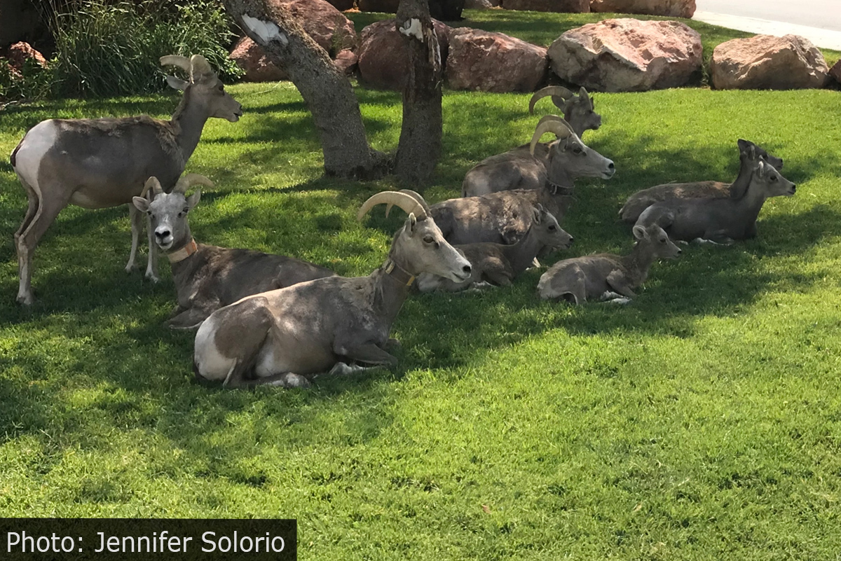 Fan Photo: Youngsters at Hemenway Park