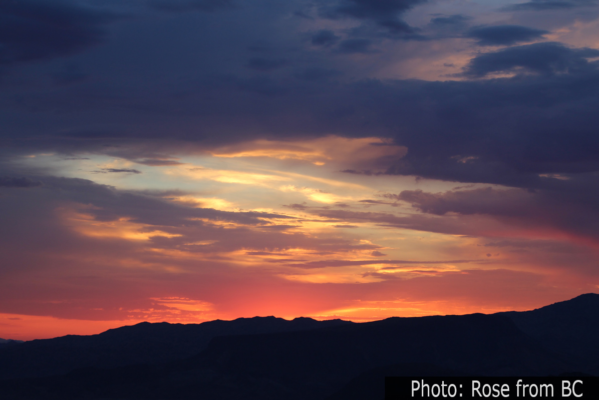 Fan Photo: Golden Sunrise