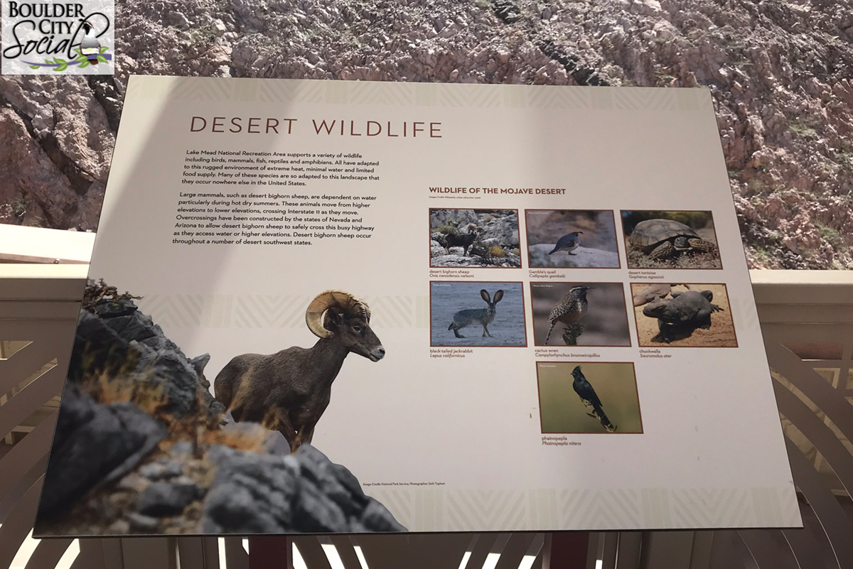 I-11WildlifePlaque.jpg