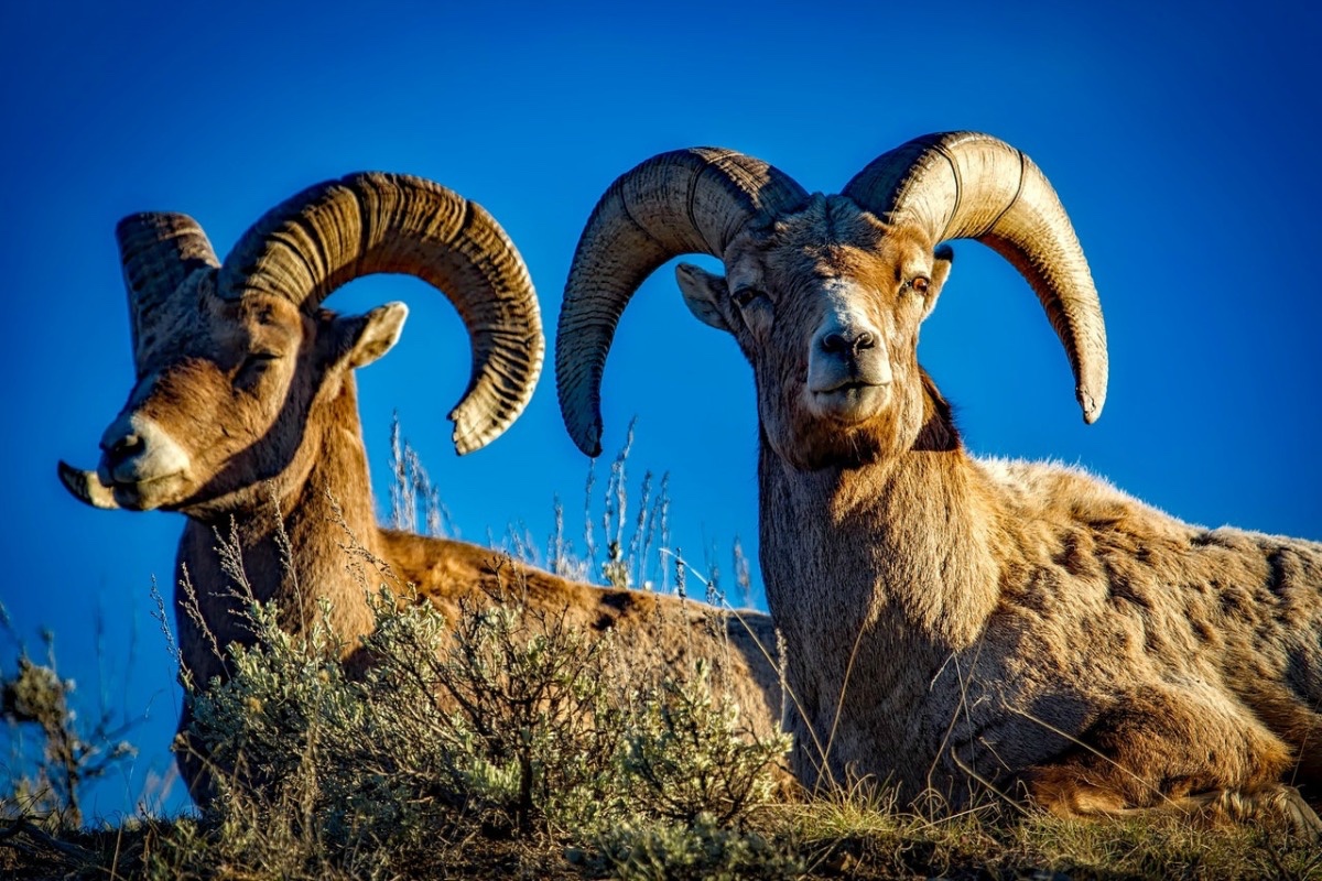 Events at Lake Mead in October
