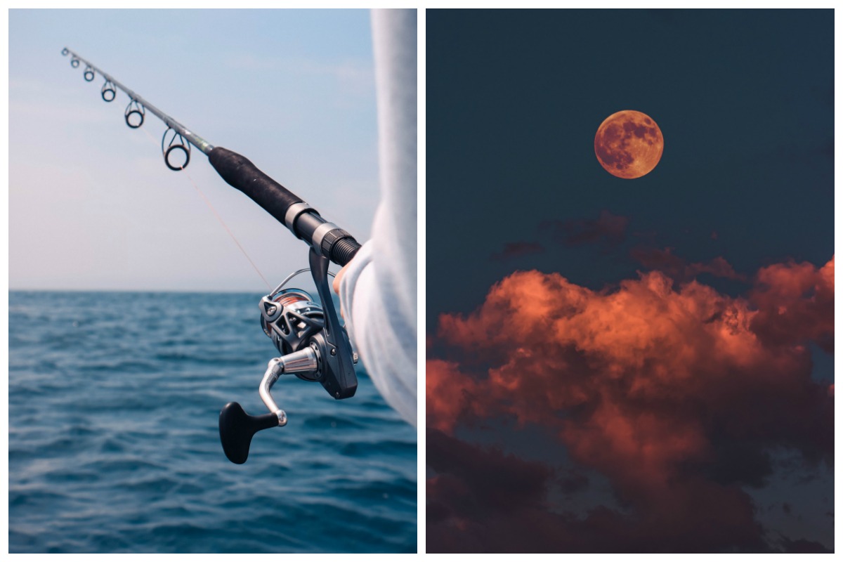 Events at Lake Mead for June 2019