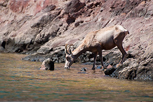 Fan Photo from the National Park Service