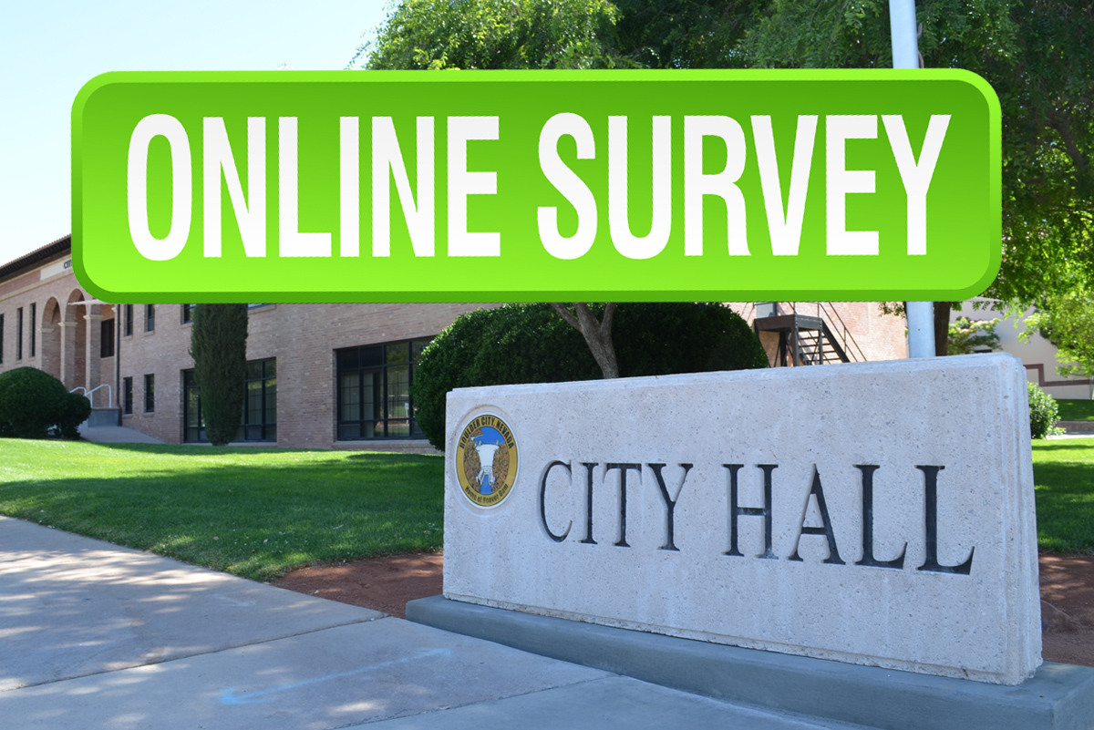 Online Survey Planning Boulder City, Nevada