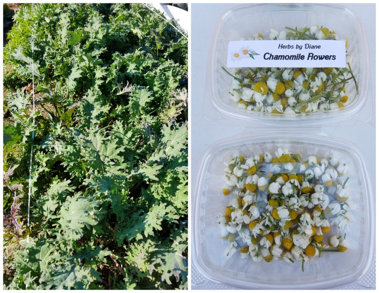 Herbs By Diane Boulder City, Nevada