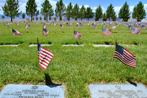 Fan Photo: Veterans Memorial Cemetery Flags