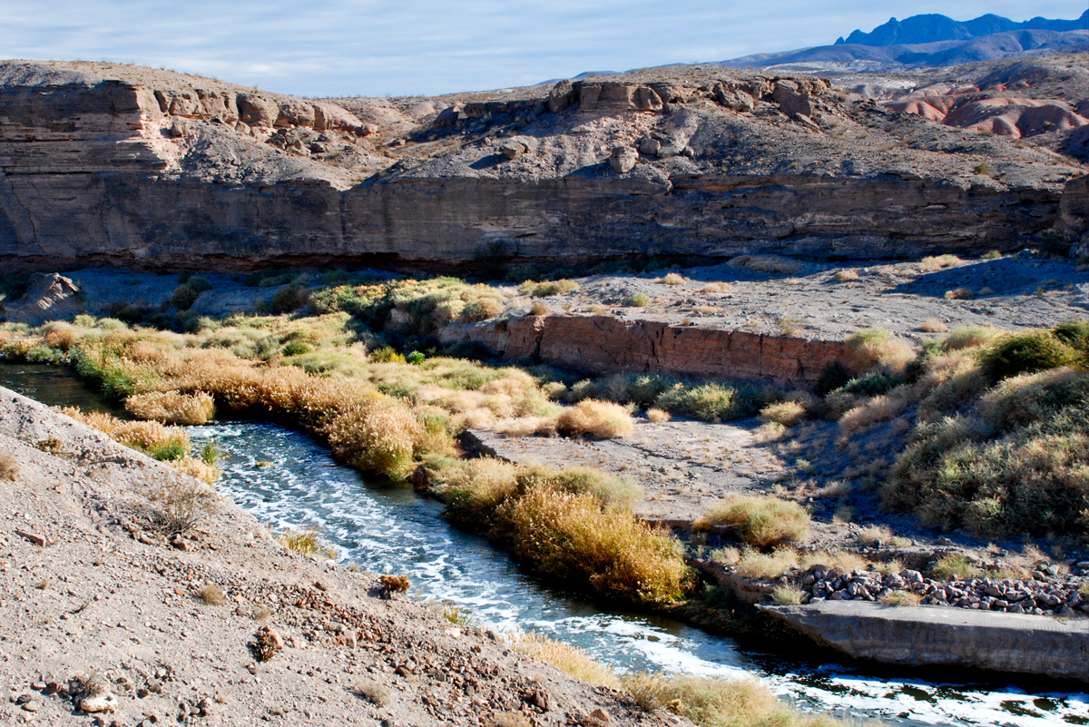 The Wetlands Trail in Lake Mead National Rec. Area Reopens!
