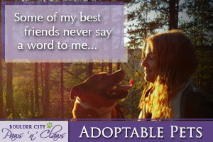 First Adoptable Pets of the Year