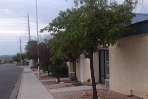 Ameriway Charities' Closure & (No) Bedbugs