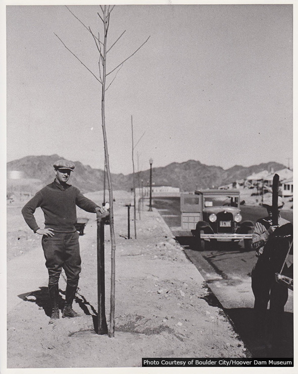 Arbor Day in Boulder City, Nevada