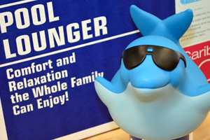 New BC Biz: BC Pool Supply