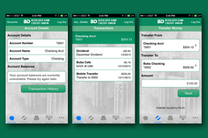 Boulder Dam Credit Union Rolls Out Mobile App
