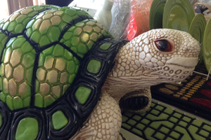 BDCU's Silent Auction Ends Friday