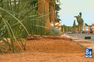 Channel 8 News Story on Beautification Project
