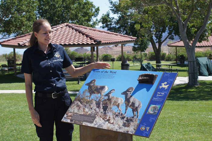 NDOW's Bighorn Sheep Programs at Hemenway Park