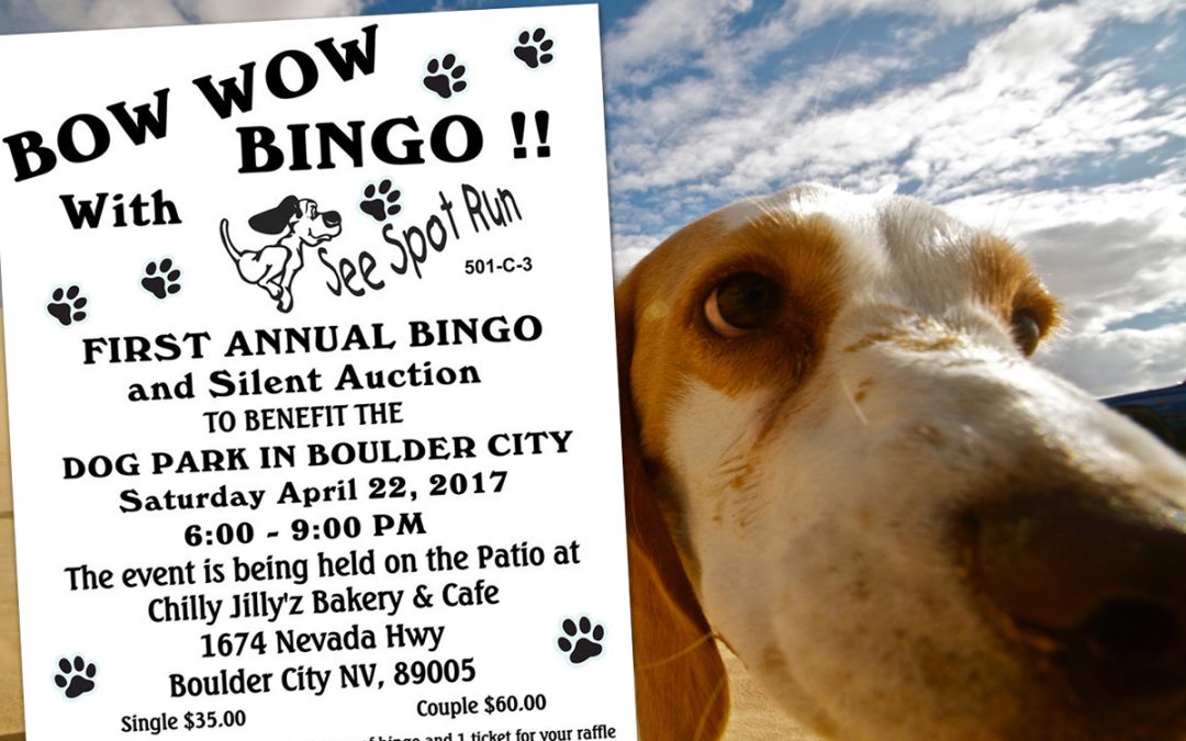 Bow Wow Bingo to Support See Spot Run & The BC Dog Park