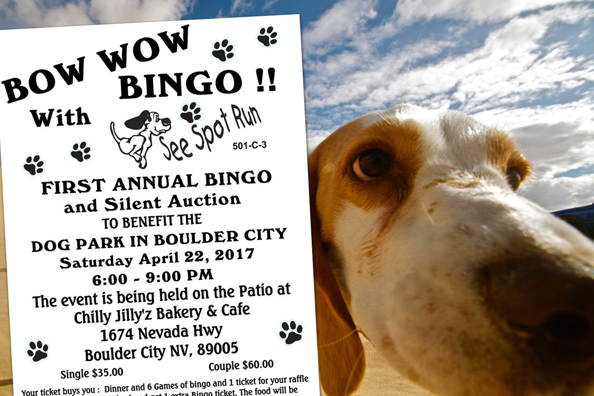 Bow Wow Bingo to Support See Spot Run & The BC Dog Park