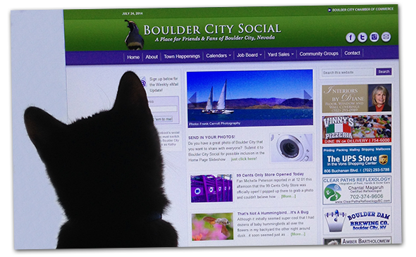 Chase The Kat in Boulder City, Nevada