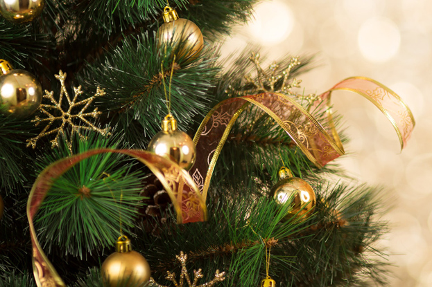 Boulder City to Recycle Christmas Trees