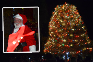 Christmas Tree Lighting 2012
