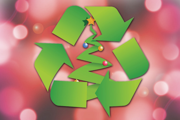 BC's 1st Christmas Tree Recycling a Success