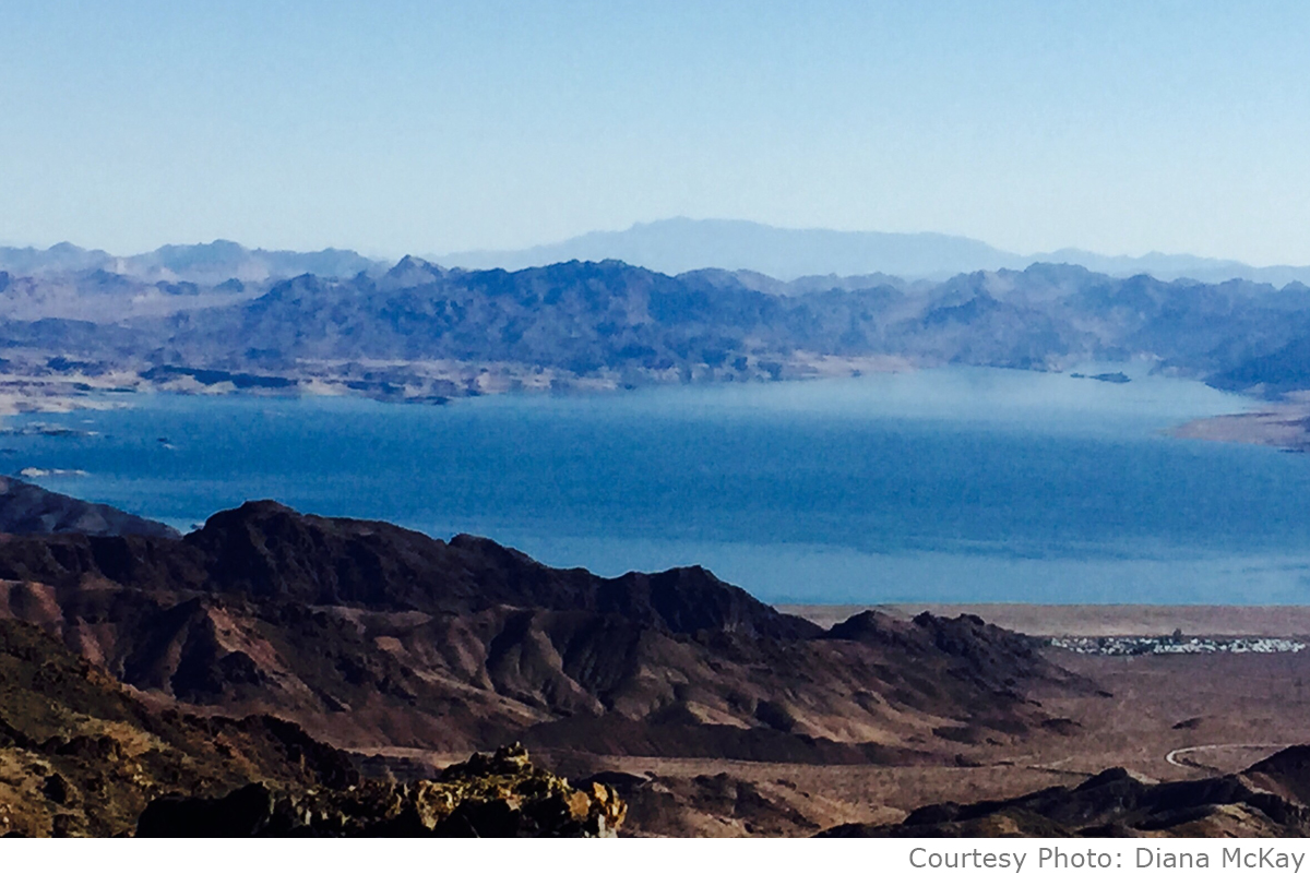 Fan Photo: Lake Mead by Diana McKay