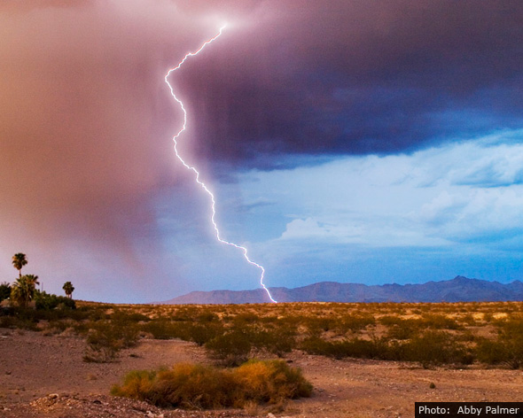 Fan Photo by Abby Palmer - Lightning Strike Fan Photo by Abby Palmer - Lightning Strike