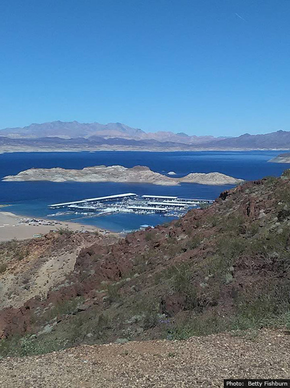 Fan Photo by Betty Fishburn of Lake Mead Marina