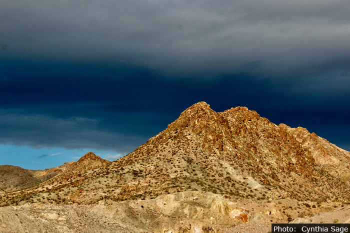 Bootleg Canyon in Boulder City, NV - Photo by Cynthia Sage