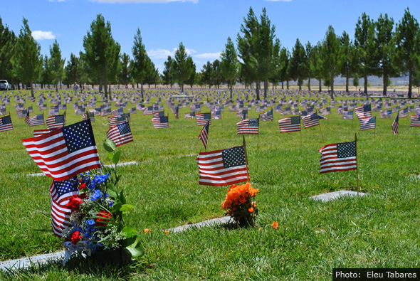 Fan Photo of Memorial Day Flags in Boulder City by Eleu Tabares