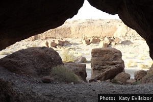 Fan Photo of the Week: "Looking Out"