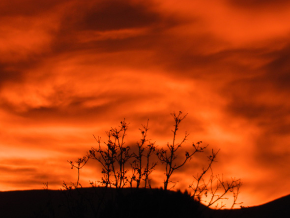 Fan Photo by Kelly Allen in Boulder City, Nevada Fan Photo by Kelly Allen in Boulder City, Nevada