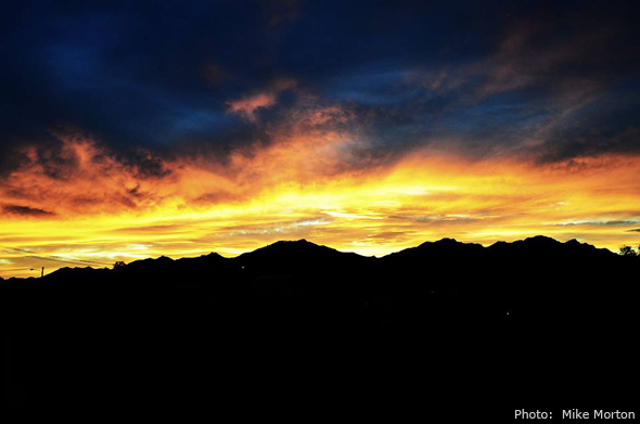 Fan Photo by Mike Morton in Boulder City, Nevada