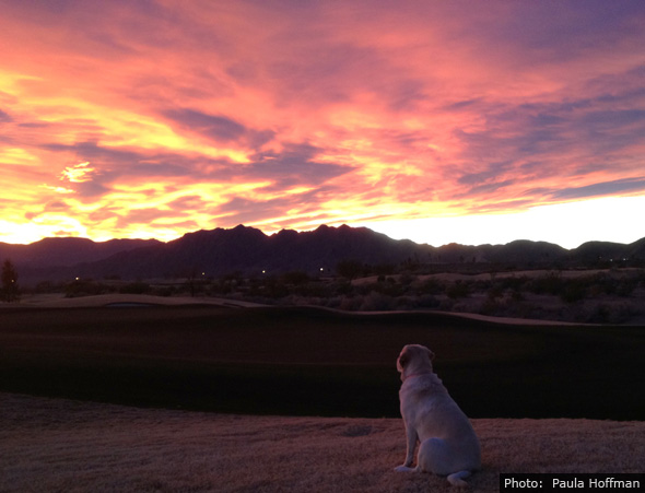 Fan Photo Paula Hoffman Sunset in Boulder City, NV Fan Photo Paula Hoffman Sunset in Boulder City, NV