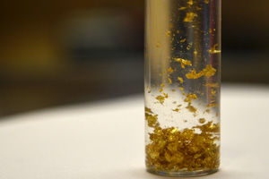 Gold Prospecting Adventure Tours