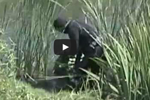 Diving for White Gold...aka Golf Balls!