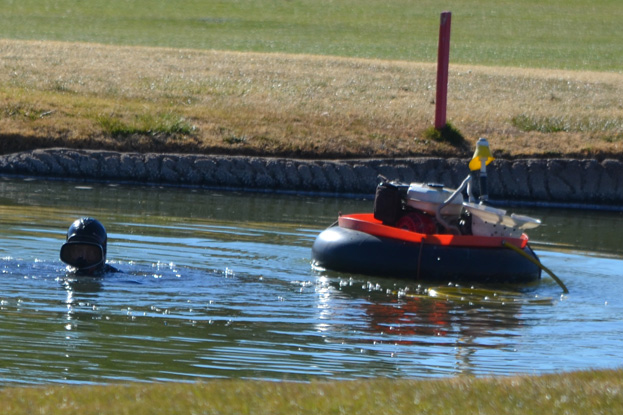 Our Own Loch Ness Monster, Perhaps?