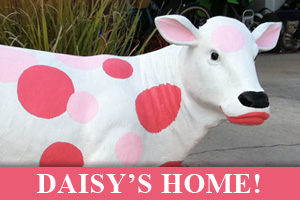 Cownapping at Grandma Daisy's!
