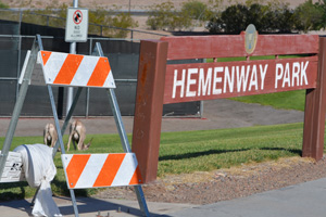 Bighorn Sheep Signs Coming to Hemenway Park