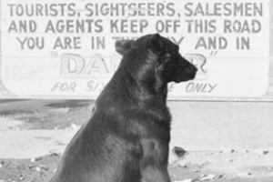 75th Anniversary of Hoover Dam Mascot's Passing