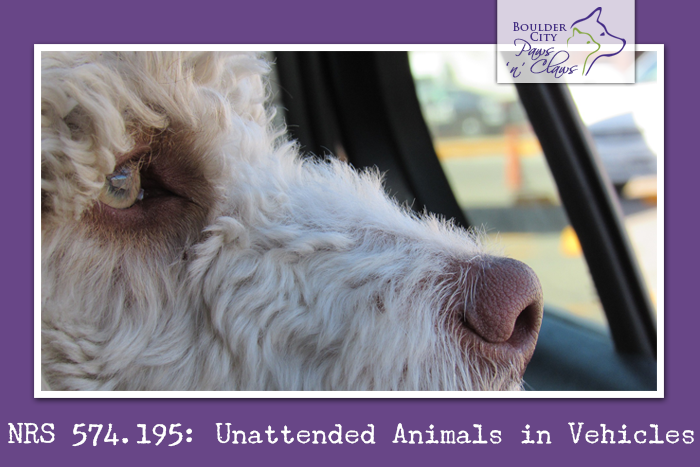 Pets In Hot Cars … It’s A Crime Under NRS 574.195