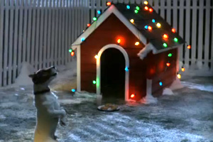 Jack R. Waiting On Santa