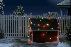 Happy Holidays!
